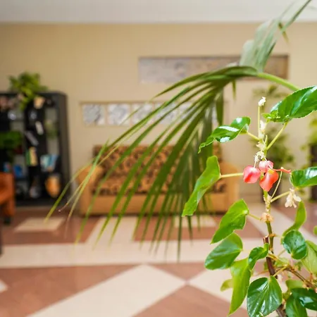 Hotel Pradillo Conil