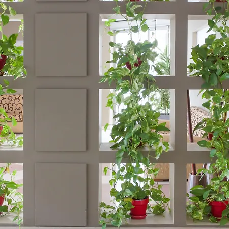 Hotell Pradillo Conil