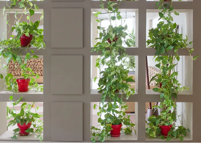 Hotel Pradillo Conil